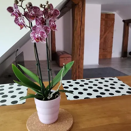 Apartmany Svata Lägenhet *