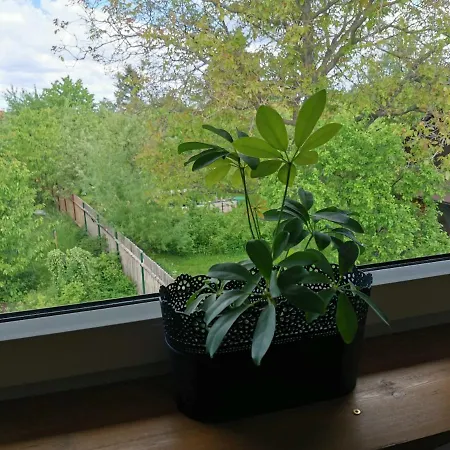 Apartmány Svatá Svatá