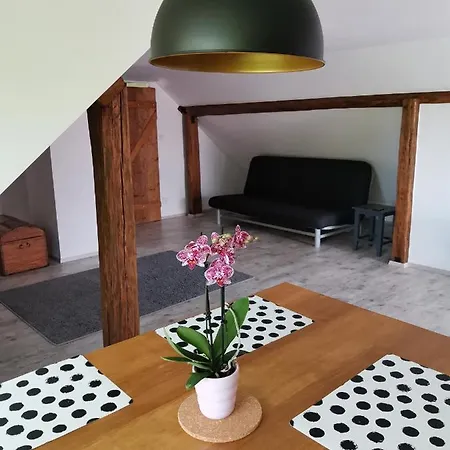 Apartmán Apartmány Svatá