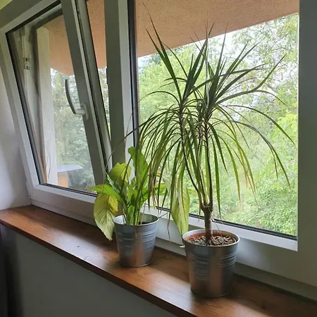Apartmany Svata Lägenhet Svatá