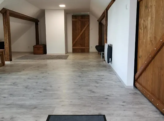 Apartmany Svata *