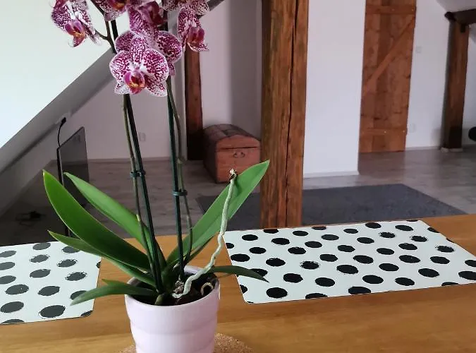 Apartmany Svata Διαμέρισμα *