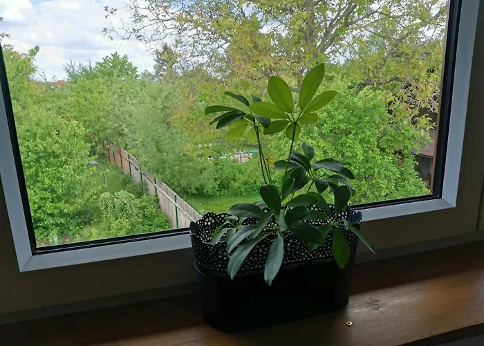Apartmány Svatá Svatá