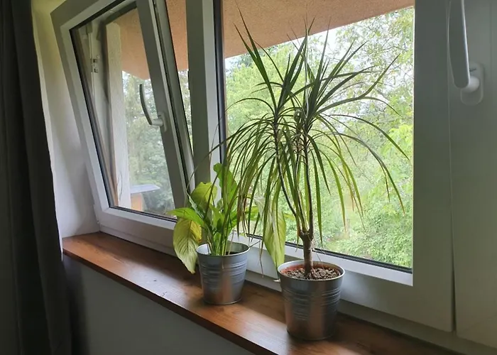 Apartmany Svata Lägenhet Svatá
