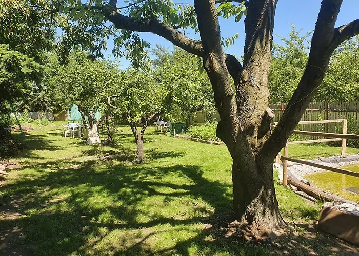 Apartmany Svata Διαμέρισμα *